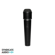 Load image into Gallery viewer, LEWITT MTP 440 DM Dynamic Snare/Amp Microphone