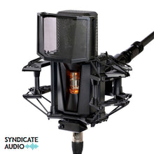 Load image into Gallery viewer, LEWITT PURE TUBE 1" True Condenser Studio Microphone