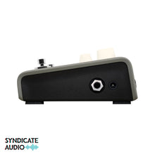 Load image into Gallery viewer, L.R. Baggs Voiceprint DI Acoustic DI Pedal w/ Voiceprint Technology & AcousticLive App Integration