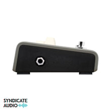 Load image into Gallery viewer, L.R. Baggs Voiceprint DI Acoustic DI Pedal w/ Voiceprint Technology & AcousticLive App Integration