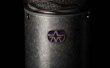Load image into Gallery viewer, Aston Origin Cardioid Condenser Microphone - GuitarPusher