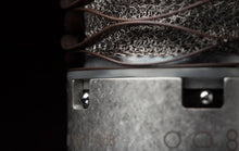 Load image into Gallery viewer, Aston Spirit Multi-Pattern Condenser Microphone - GuitarPusher
