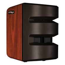 Load image into Gallery viewer, L.R. Baggs Synapse 500 Watts Personal PA Amplifier - GuitarPusher