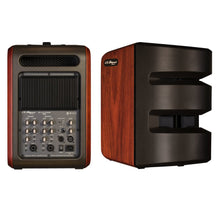 Load image into Gallery viewer, L.R. Baggs Synapse 500 Watts Personal PA Amplifier - GuitarPusher