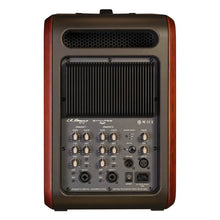 Load image into Gallery viewer, L.R. Baggs Synapse 500 Watts Personal PA Amplifier - GuitarPusher