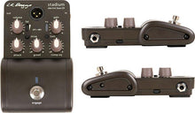 Load image into Gallery viewer, L.R. Baggs Stadium Bass DI XLR - GuitarPusher