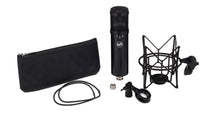 Load image into Gallery viewer, Warm Audio WA47 Jr FET Condenser Microphone