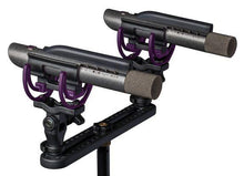 Load image into Gallery viewer, Aston Starlight Small Diaphragm Condenser Microphone with laser - STEREO PAIR - GuitarPusher