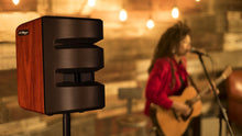 Load image into Gallery viewer, L.R. Baggs Synapse 500 Watts Personal PA Amplifier - GuitarPusher