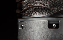 Load image into Gallery viewer, Aston Spirit Multi-Pattern Condenser Microphone - GuitarPusher
