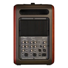 Load image into Gallery viewer, L.R. Baggs Synapse 500 Watts Personal PA Amplifier - GuitarPusher
